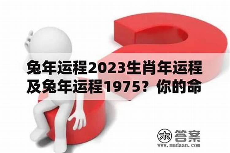 1975年的人2026年的运势