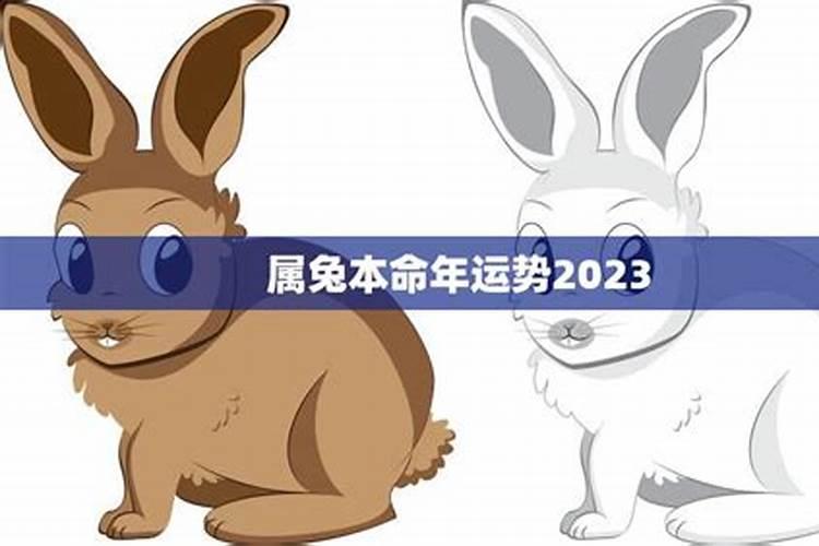 2026年属兔本命年运势