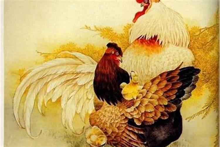 属鸡四月运势如何？