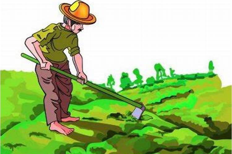 梦到自己种地是什么意思啊？