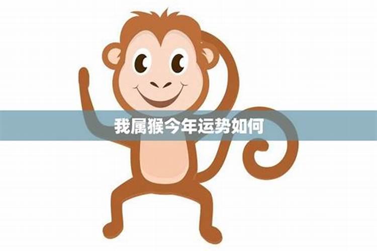 属猴的今年七月运势如何？