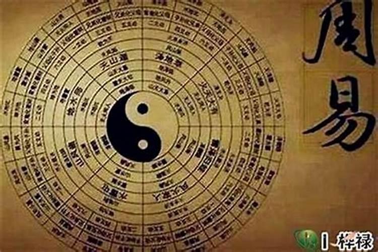 八字命理谁讲得好的？