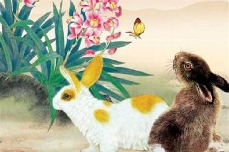 属相兔和马婚配可以吗？