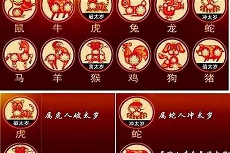 属猪佩戴什么破太岁？