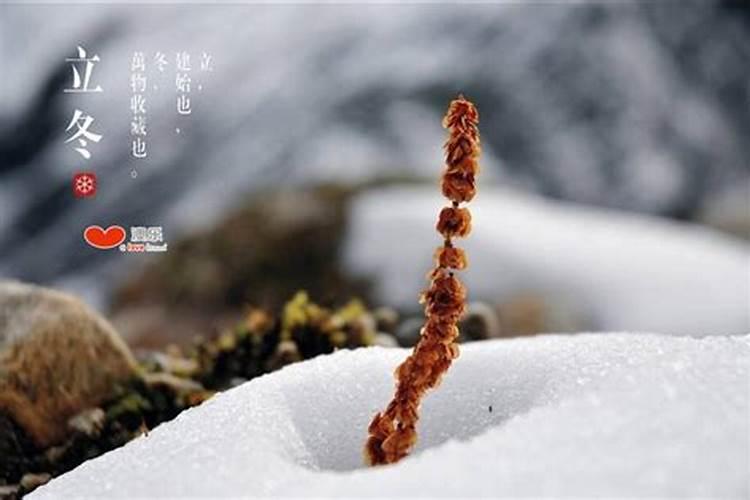 立冬后注意事项有哪些？