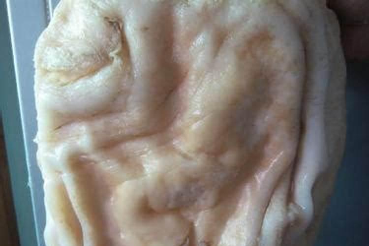 太岁是真实存在的吗？