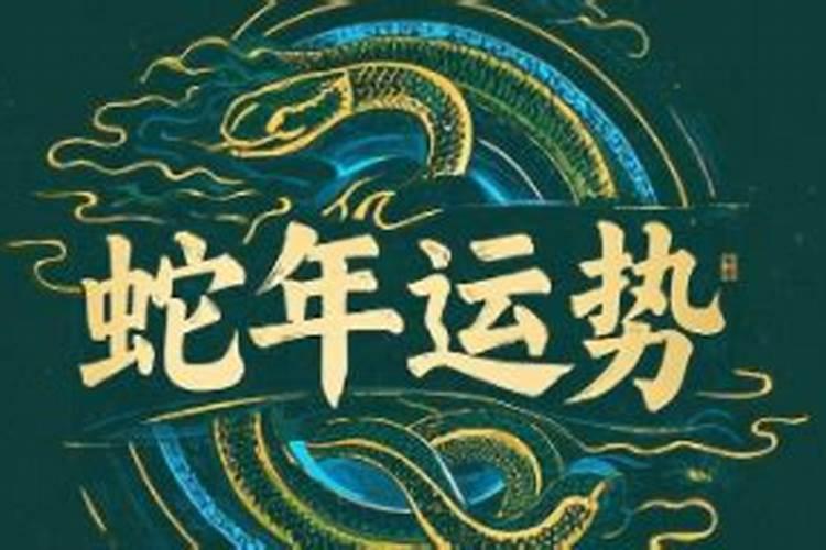 肖龙者2026年运程