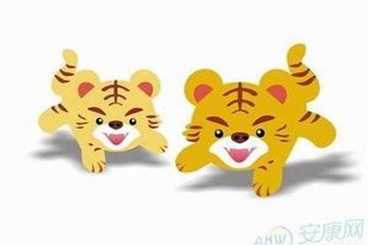 鼠和虎属相是否可以婚配吗？