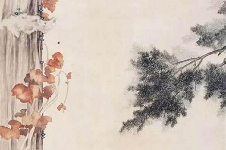 夏至出生的女孩起名