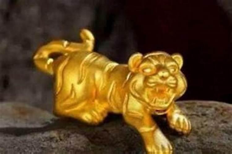 属虎为什么不能戴金子？
