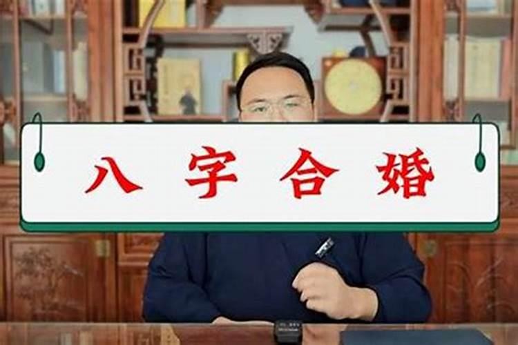 马和羊八字会不合吗？