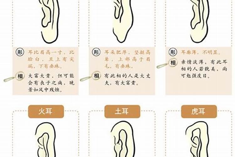 耳朵尖的人什么命？