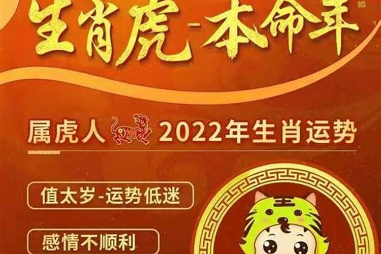 属虎2026本命年运势