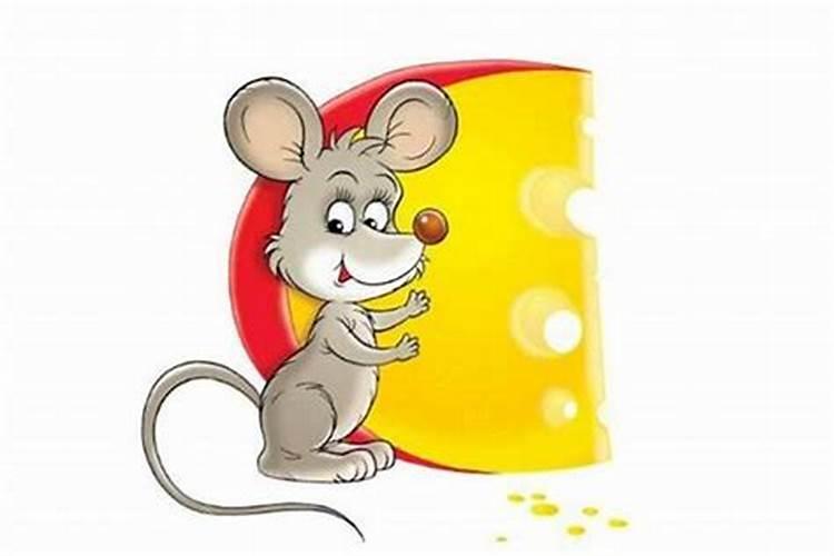 1984年的2026年运程