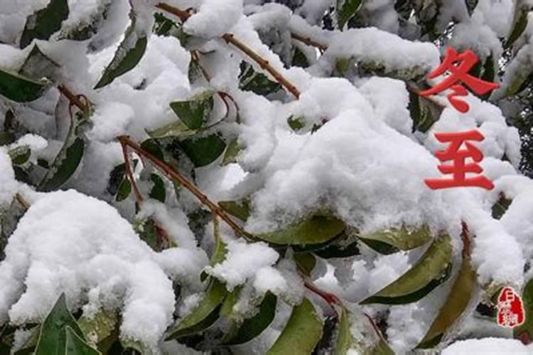 冬至前后是指几日？