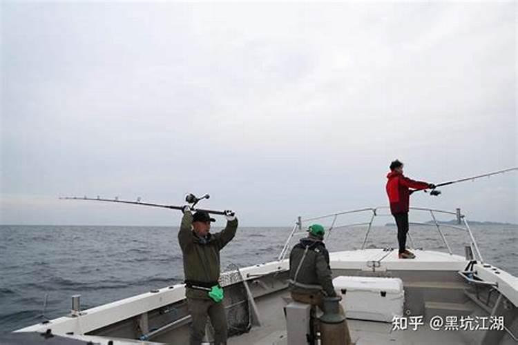 重阳节钓鱼钓哪些鱼最好？