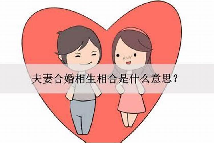 夫妻八字相合几种情况？
