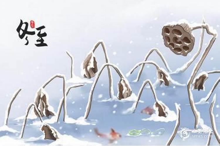 冬至出生什么座？