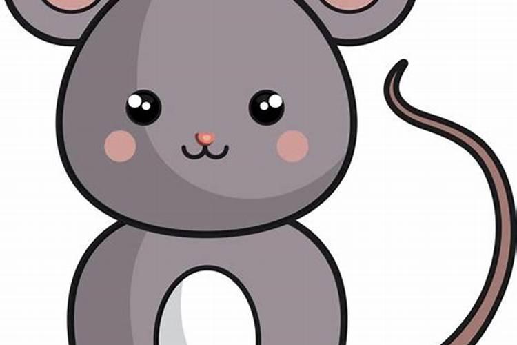 鼠马为什么不合婚？