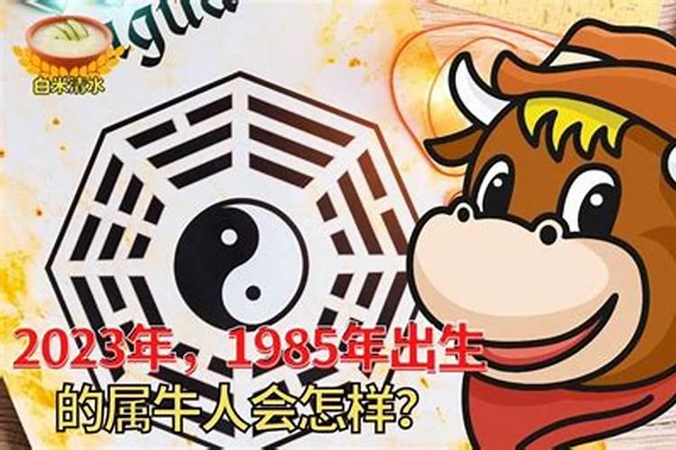 牛年1985年出生的人2026年运程