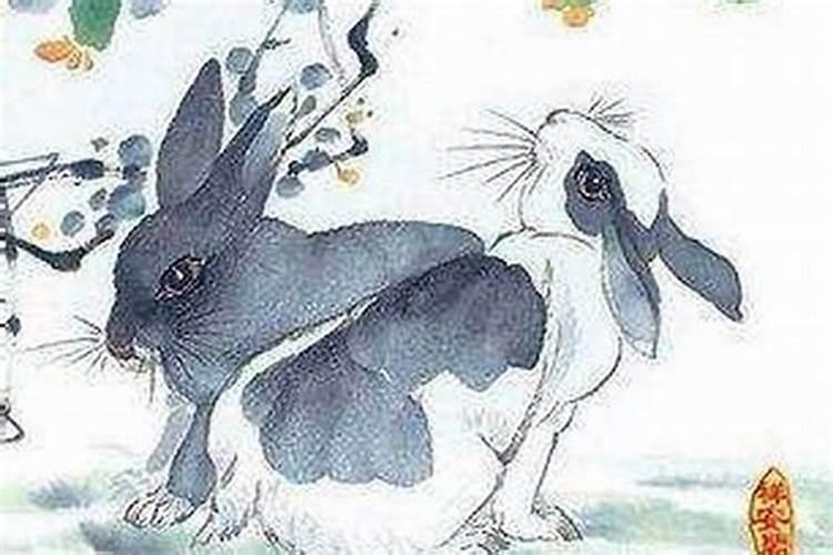 属兔属羊合婚吗？