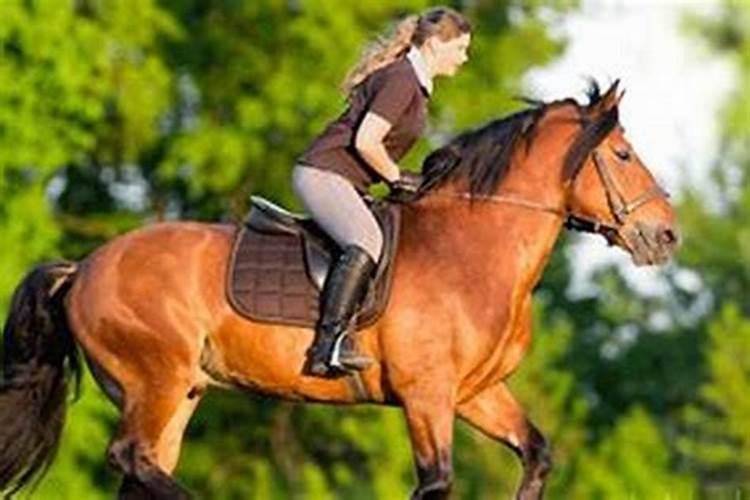 梦见骑马飞奔意味着什么？