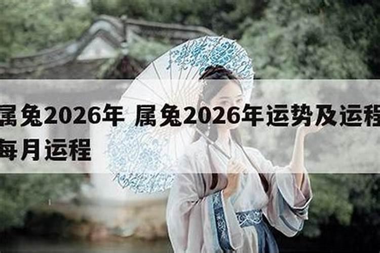 1984年的女士在2026年的运程