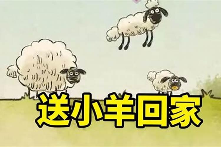 冬至小羊回家祭祖