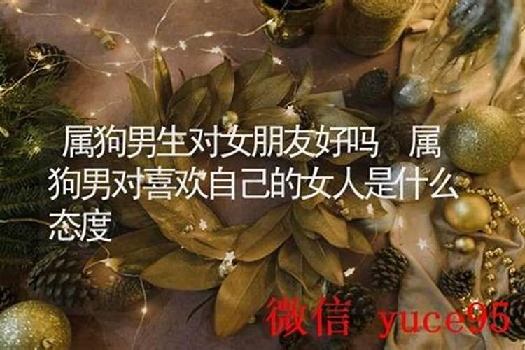 本命年找女朋友好吗属狗？