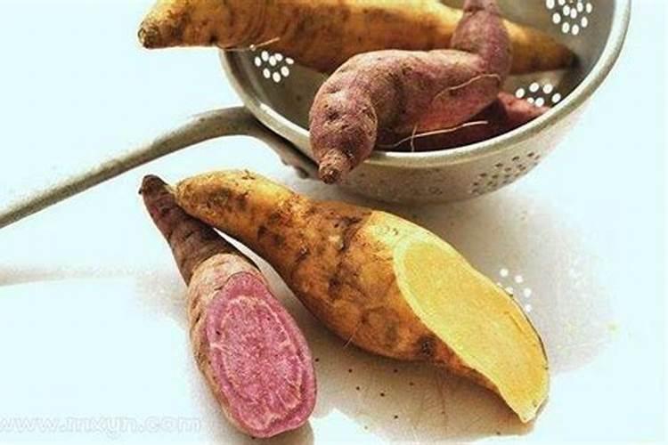 梦见吃红薯是什么意思求职者？