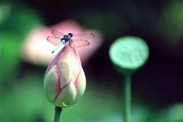 如何超度公路亡灵？