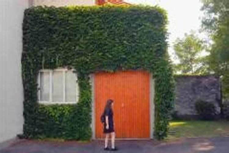 梦见不认识的女人帮我