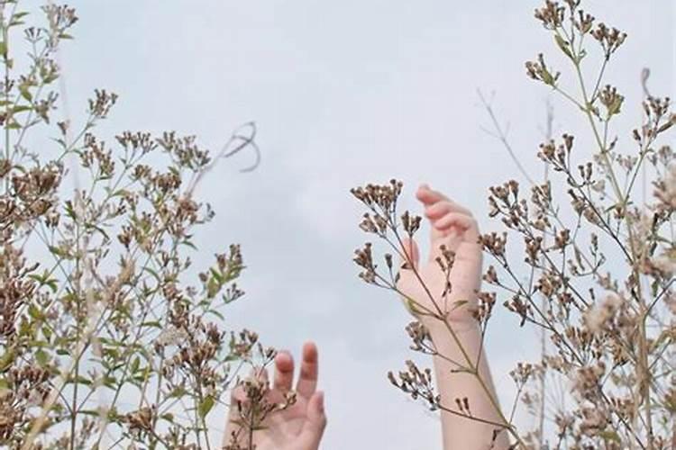 对死去的妈妈愧疚一辈子