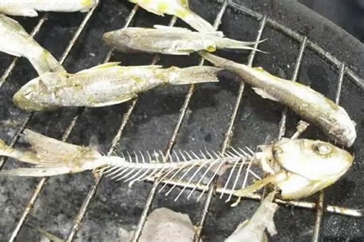 梦见吃鱼刺很多是什么意思？