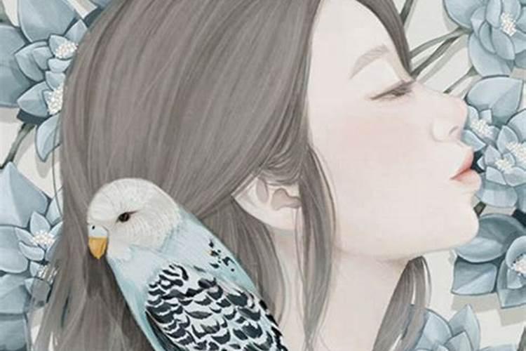 怎样查自己的梦？