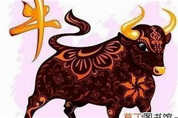 牛年犯太岁戴什么生肖？