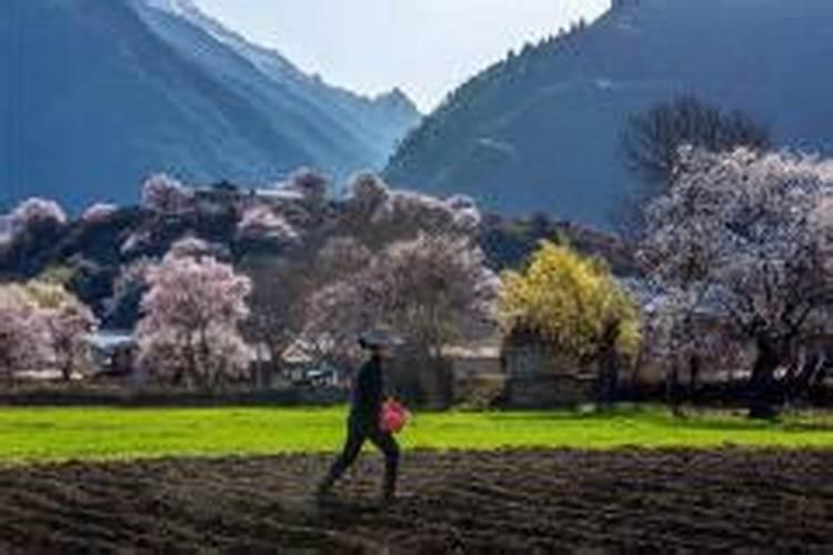 梦见给别人家种地什么意思？