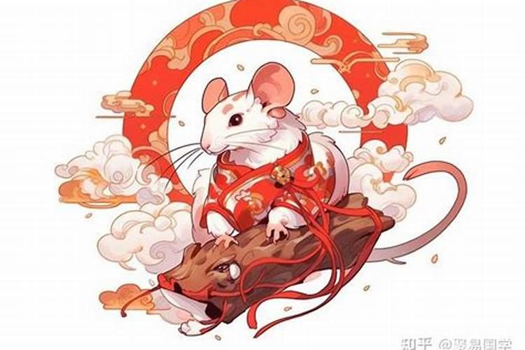 命鼠人2026年运程