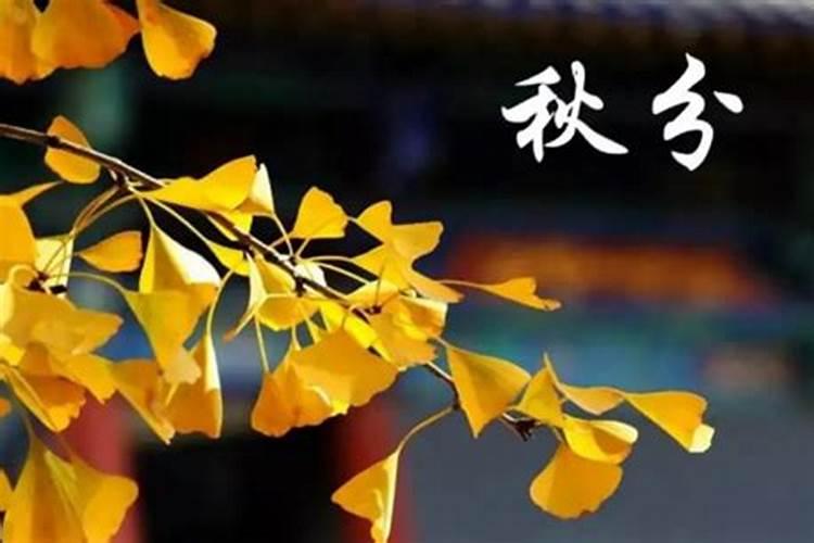 农历几月几号算秋分？