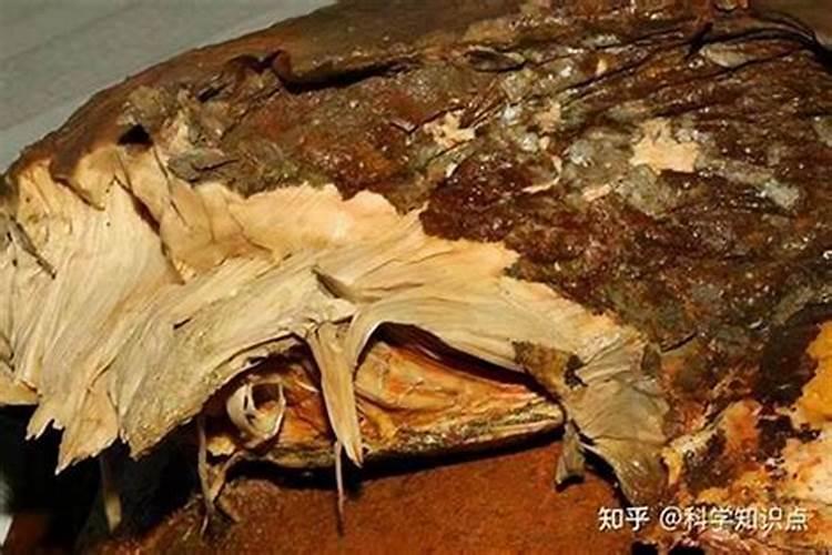 太岁形成需要多久时间结束？