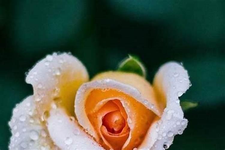 做法事要到场吗？