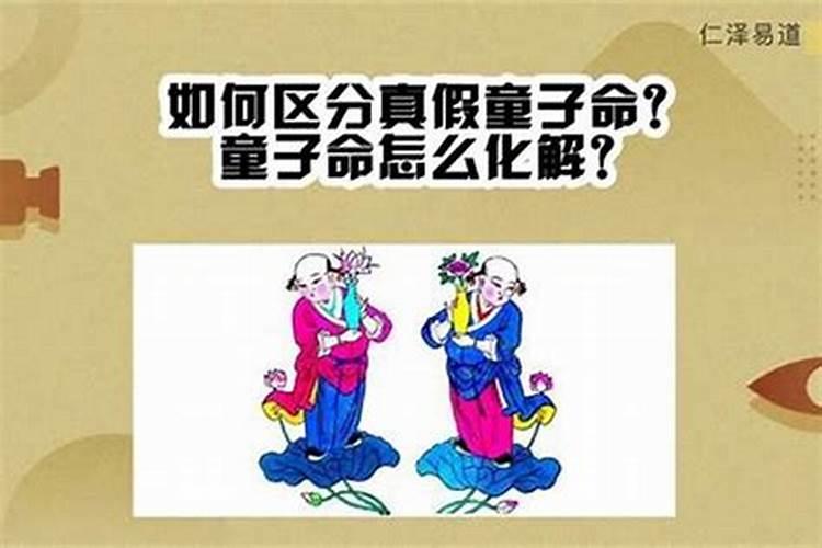 真假童子命什么区别？
