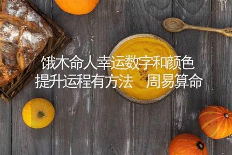 饿木命2026年运程