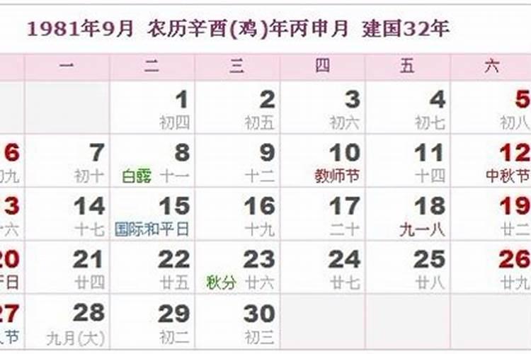 1981年农历七月出生的运程