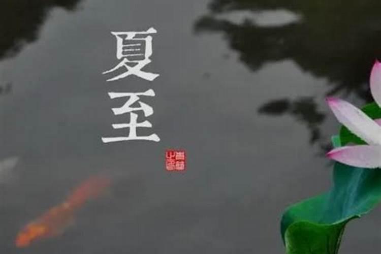 夏至出生的孩子叫什么？