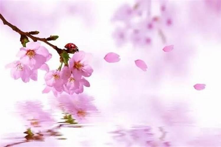 1964年8月出生龙女运程