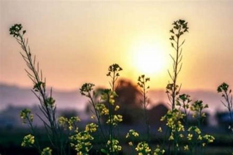 道长为婴灵超度回向