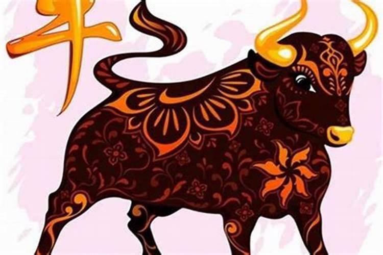 属相婚配牛和兔财运好吗？