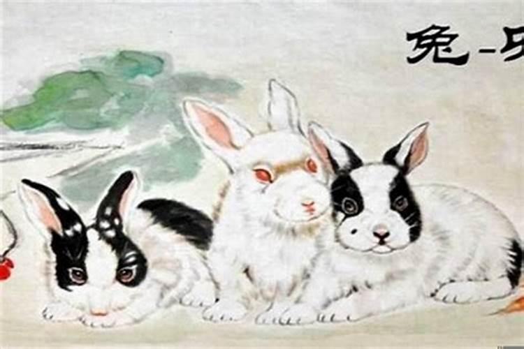 兔犯太岁是什么意思？