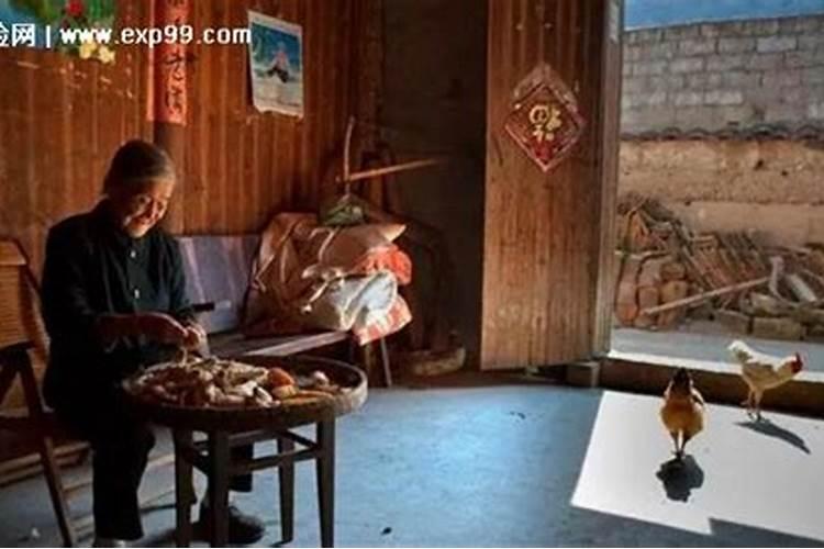 梦见死去的奶奶又活过来和我说话